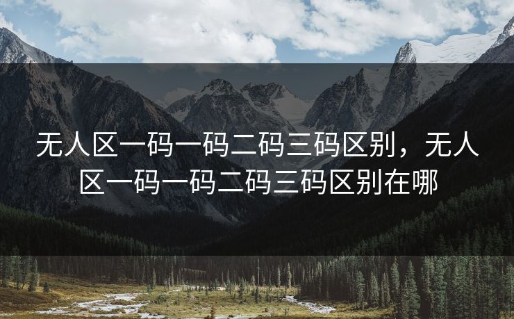 无人区一码一码二码三码区别,无人区一码一码二码三码区别在哪