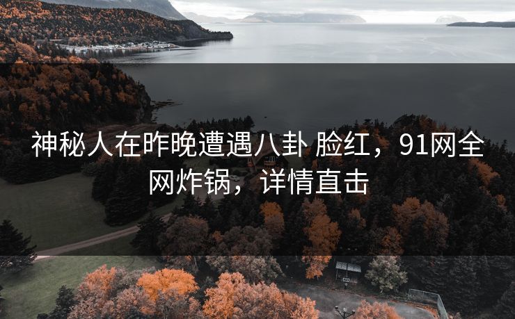 神秘人在昨晚遭遇八卦 脸红，91网全网炸锅，详情直击